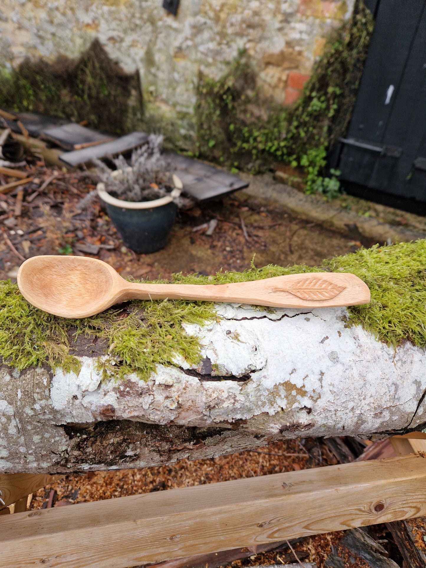 Beech wood ladle