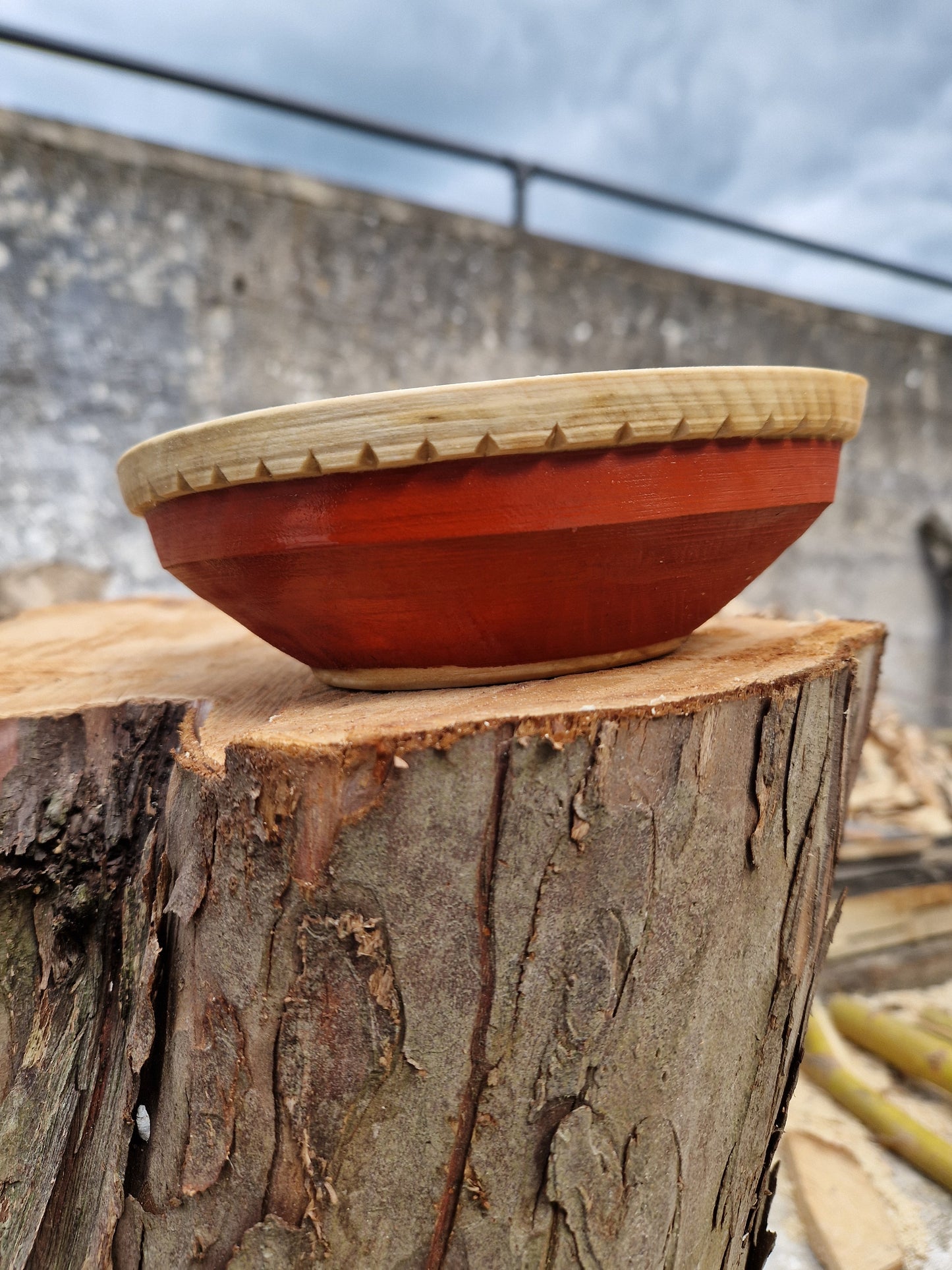 Silver Birch bowl