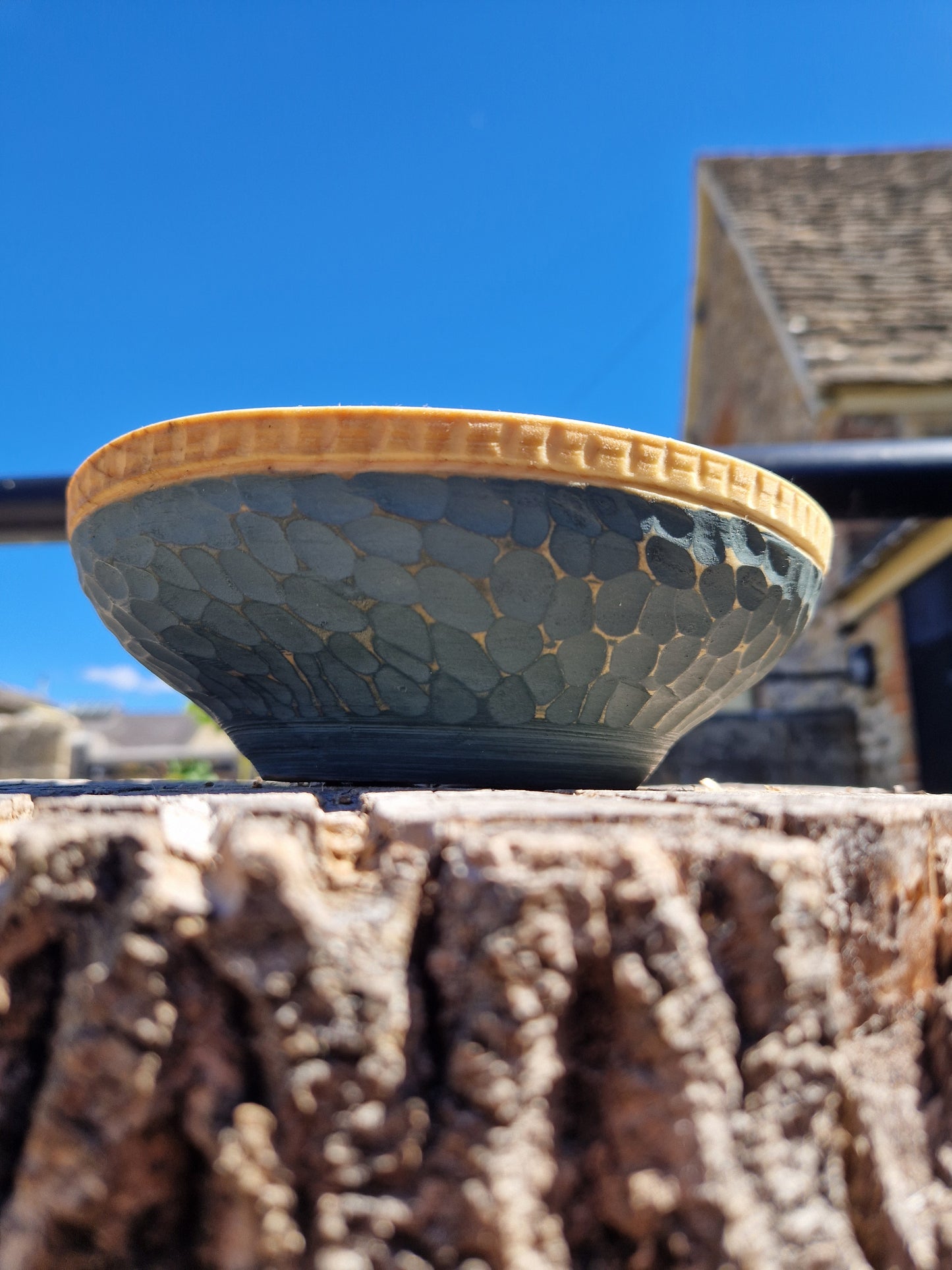 Silver Birch bowl