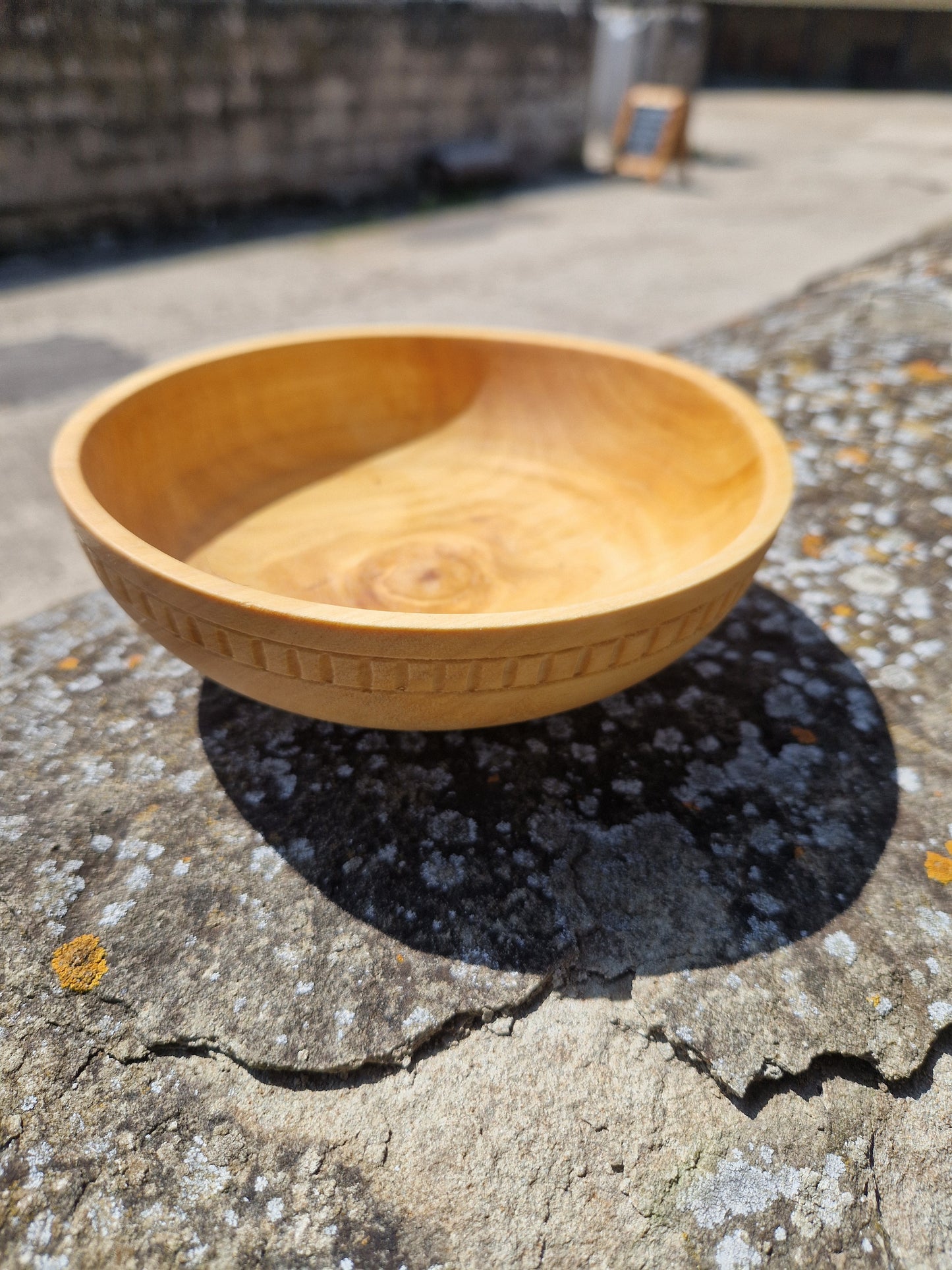 Silver Birch bowl