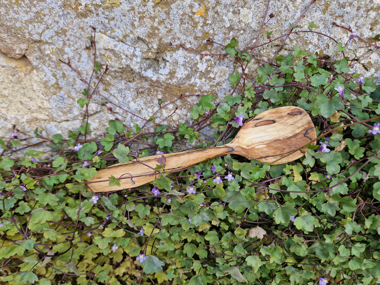 Beech eating spoon